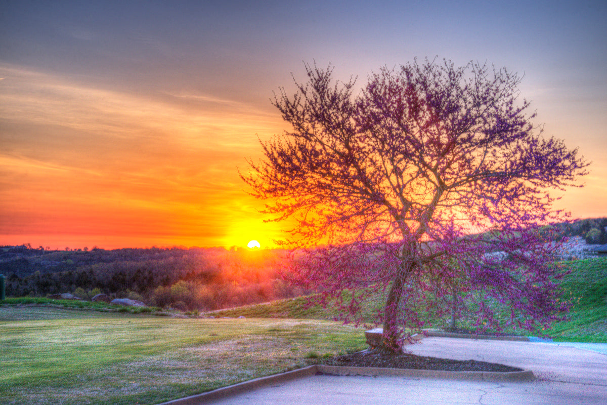 MO0027 - Redbud Sunrise at Buffalo Ridge