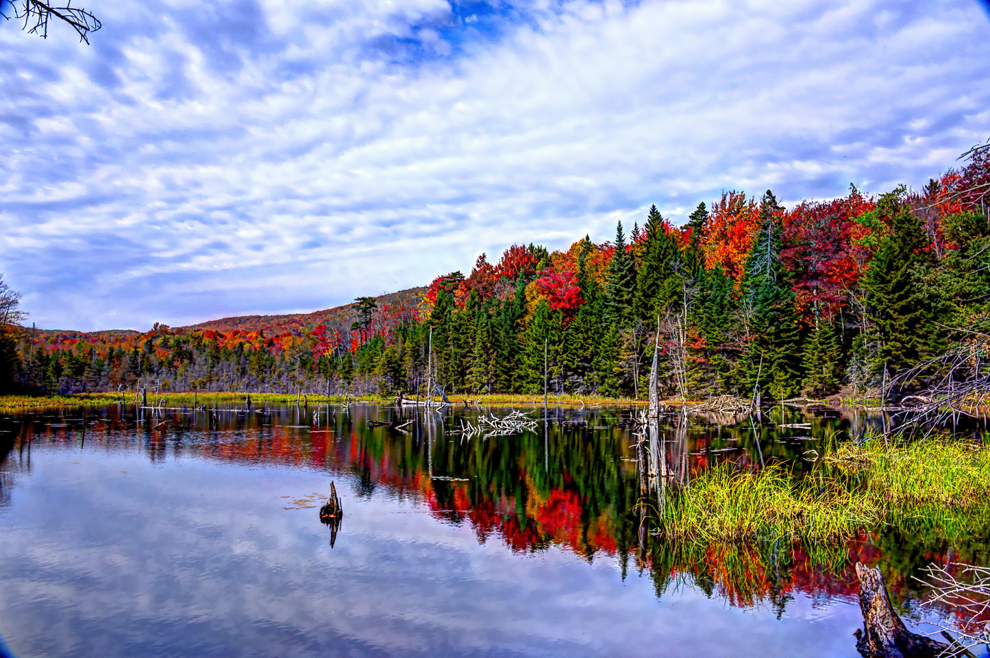 NE0013 - The Beaver Pond