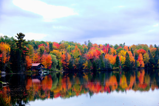 NE0014 - Reflections of Autumn