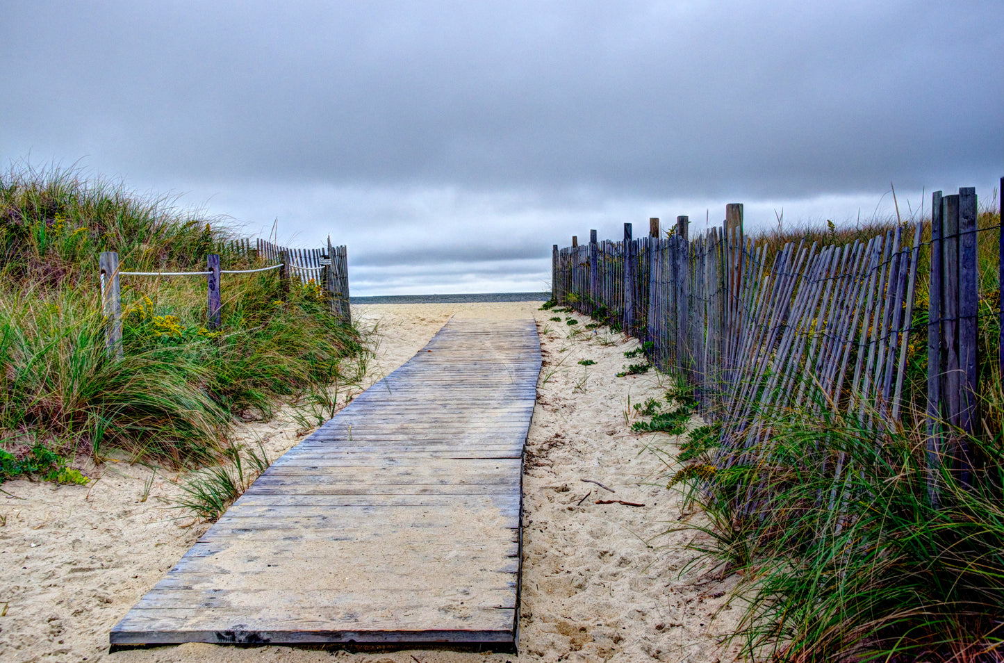 NE0021 - Cape Cod Boardwalk