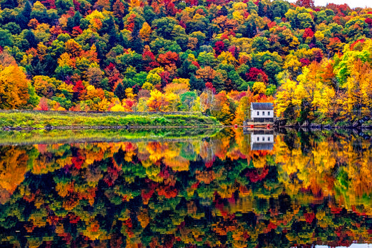NE0029 - Vermont Autumn Reflections