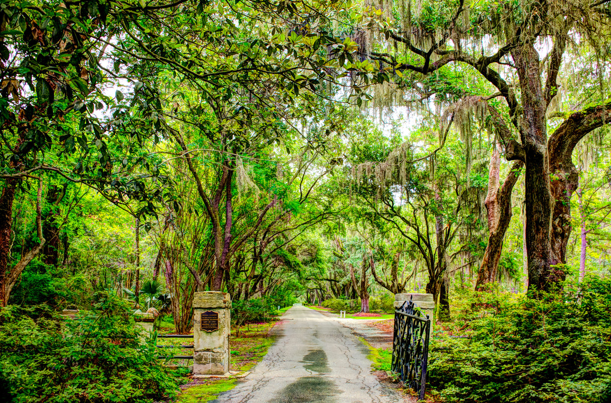 SC0002 - Magnolia Plantation and Gardens Entrance
