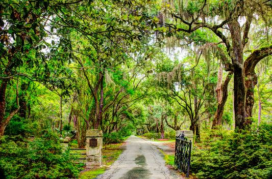 SC0002 - Magnolia Plantation and Gardens Entrance